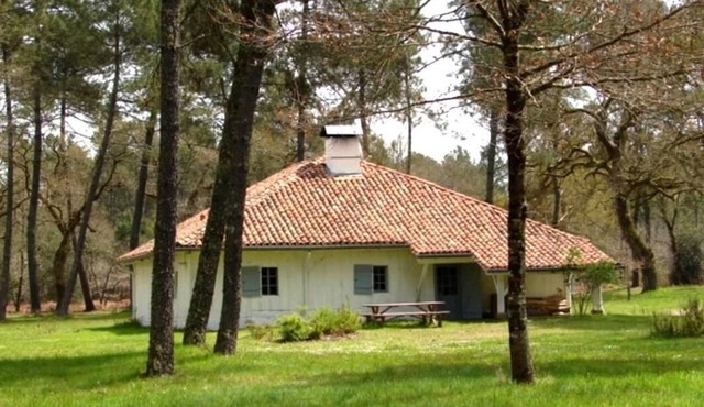 Le Bourrut - Luglon - Gîte