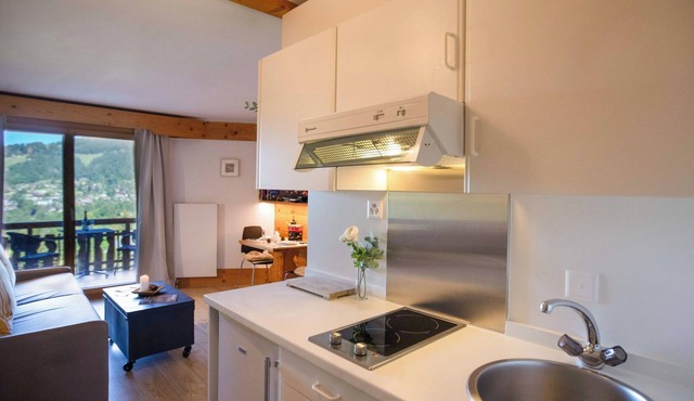 Le Bristol A25 by Interhome