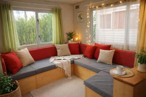 Le Bruant des Roseaux