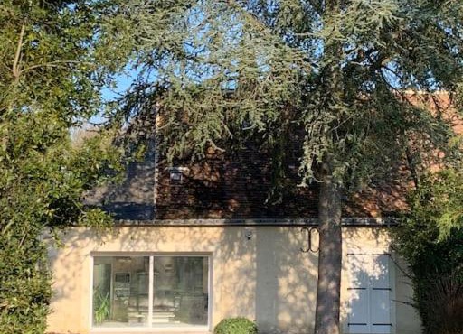 Le cèdre du Prieuré