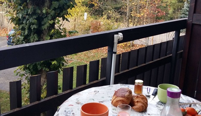 Le Chartreux de Saint Pierre de Chartreuse