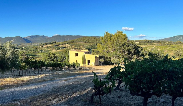 Le Cabanon des Vignes, an exceptional site amidst the vines