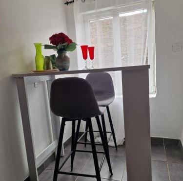 Le camélia de la mazarié