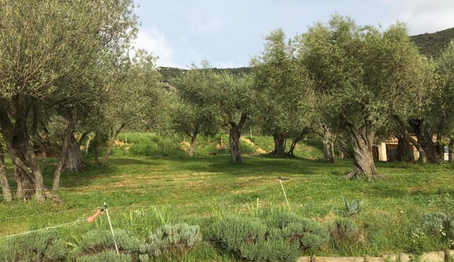 Le Camping de Cucugnan