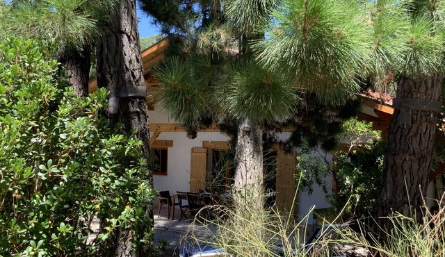 Le Cap Ferret between Bassin et Océan Villa 4 bedrooms