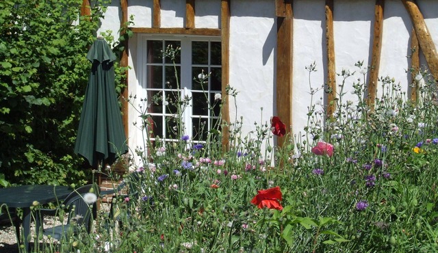 Le Capucine, Baie de somme sea and forest