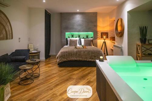 Le Carpe Diem - Détente & Bien-être - Balnéo, Sauna, Terrasse, Parking privé