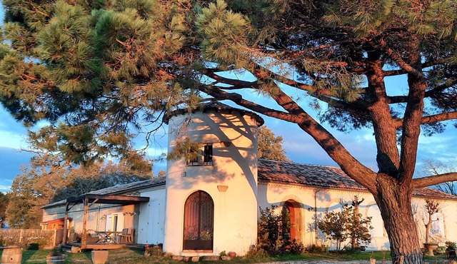 Le Castèl de Lamothe - Comfort and modernity amidst vineyards, breathtaking views