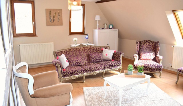 Le Céleste - Duplex apartment in the heart of Obernai's historic center