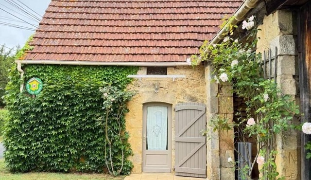 Le chêne vert - PAYRIGNAC