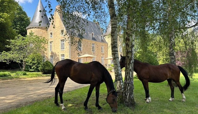 Le Château de Vaux, un Endroit Calme et Reposant