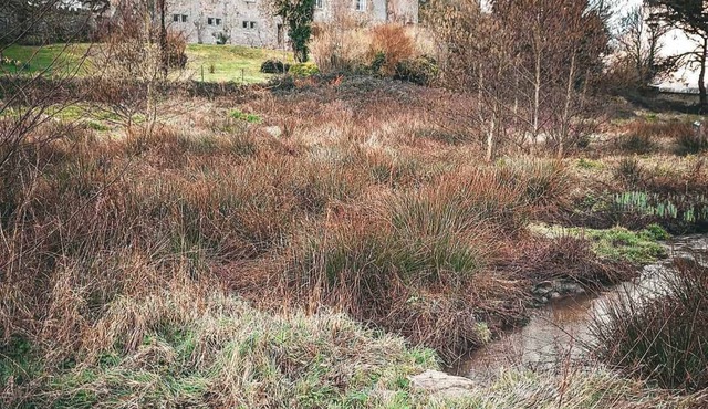 Le château du Rozel
