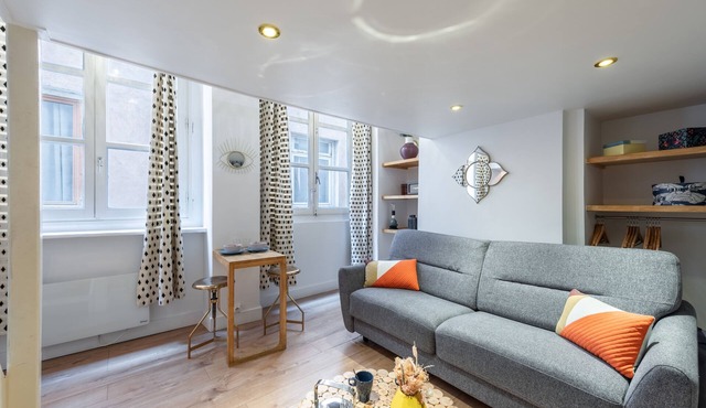 Le Chérubin - Appt en pleins coeur de Lyon