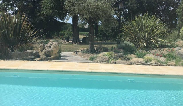 Le Chêne Vert - Montignac