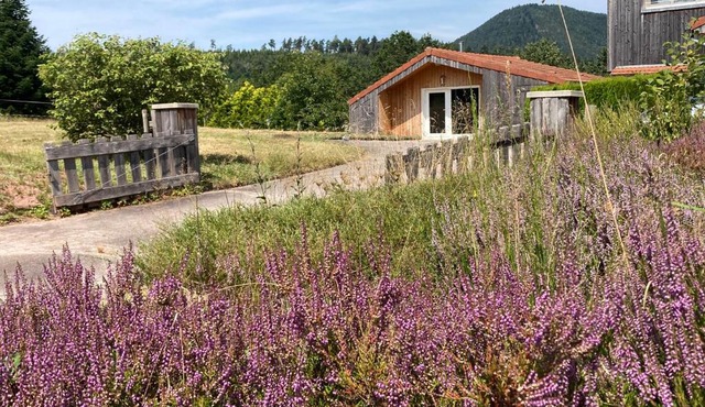 Le Chalet dans la Nature