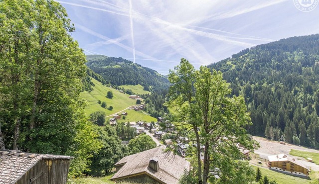 LE CHALET DU FRENE - LA GIETTAZ