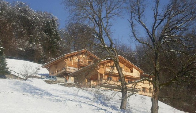 Le Chalet Vue Mont-Blanc