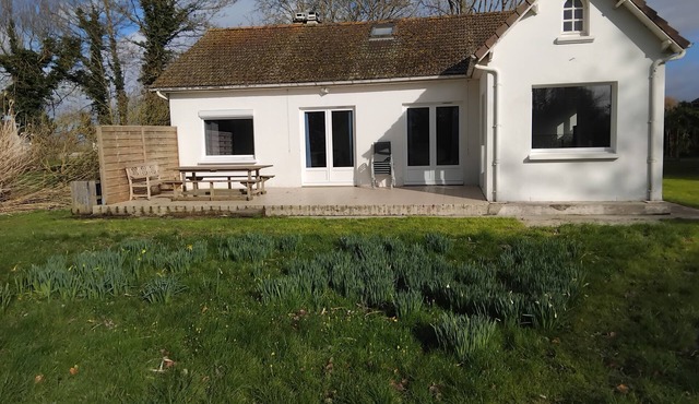"Le champ des oiseaux" in the Baie de Somme Between Cayeux and Saint Valery/Somme
