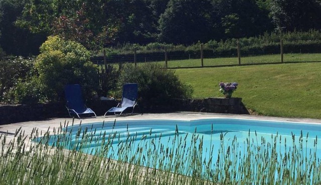 Le chant des oiseaux