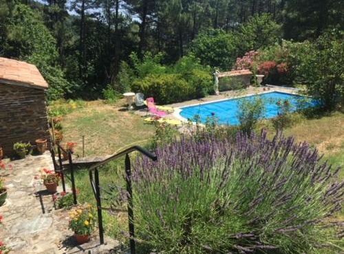 Le Chant des Pins en Cévennes