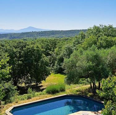 Le Chant des Tongs - La Canopée