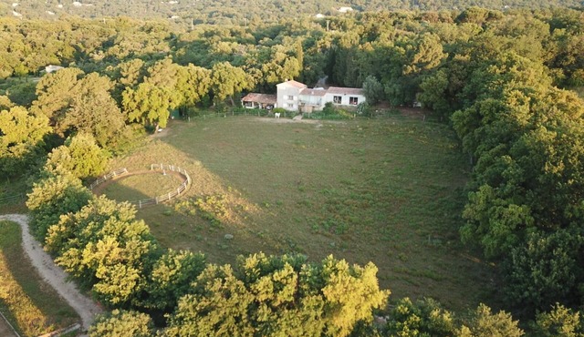 Le Charme Authentique et Bohème de la Pleine Nature Dans le Golfe de St Tropez