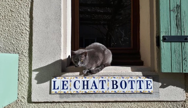Le Chat Botté - Vankantiehuis in Languedoc-Roussillion