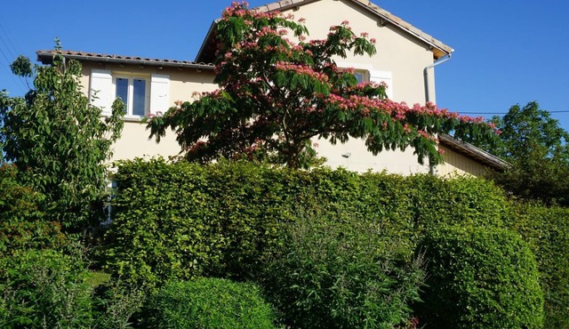 Le Chat Perché - LA CHAPELLE DE GUINCHAY