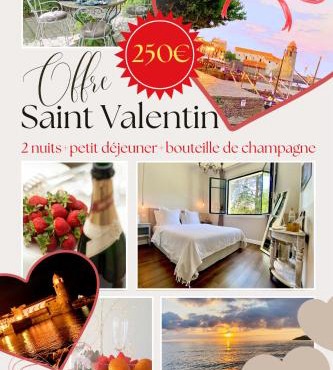 Le Chat Vert - Appartements Adults Only