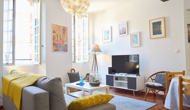 Le Chaud Vin, 2 bedrooms, historic center of ALBI, 2 steps from the cathedral