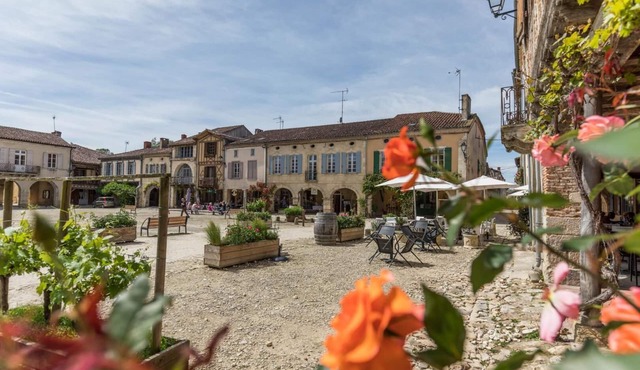 Le clos bleu - LABASTIDE D'ARMAGNAC