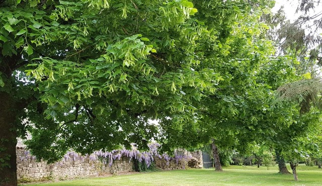 Le Clos de La Font Queroy