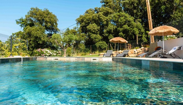 Le Clos des Eucalyptus