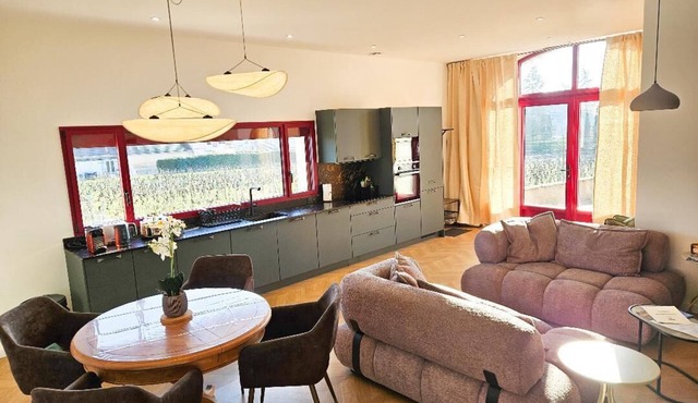 Le Clos des Loups - Air-conditioned house between Vougeot and Chambertin, vineyard view