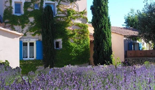 Le Clos des Lavandes
