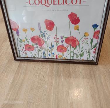 Le clos des romarins Gîte le COQUELICOT