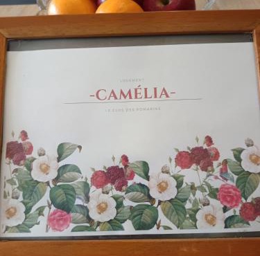 Le Clos des Romarins Gîte CAMELIA