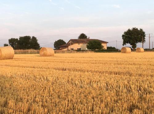 Le clos du chêne - Chambres dans maison Bressane à Saint Trivier sur Moignans