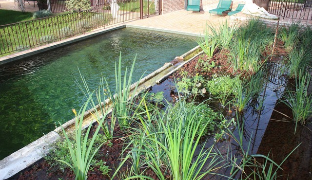 LE CLOS DES BURGONDES - gite SEDELEUBE