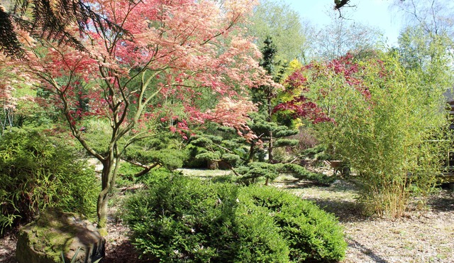 Le Clos Penguily rent 2 houses in a closed wooded park