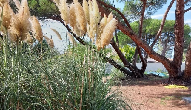 Le Clos Ste Marie : Les Portes-en-Ré