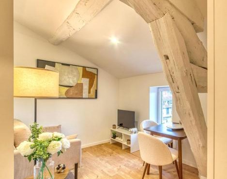 Le Cocon - Appart climatisé - cœur de Lyon 5ème