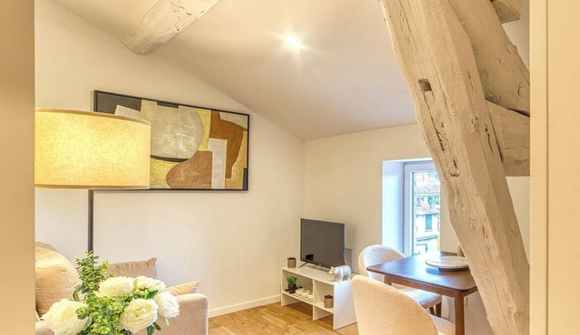 Le Cocon - Appart climatisé - cœur de Lyon 5ème