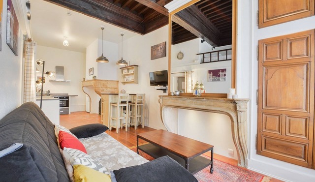 Le cocon des Deux Sirènes - Studio cosy pour 2 à Nancy