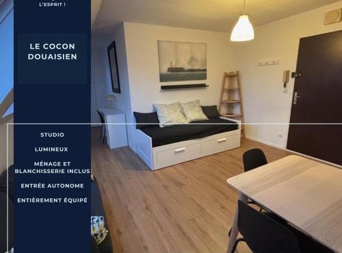 Le Cocon Douaisien, Appartement 28 m² centre Douai