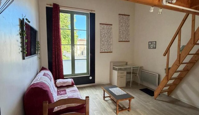 Le Cocon du Centre - duplex, proche du marais poitevin