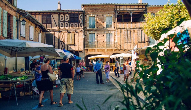Le Cocon Floral - Hypercentre et bord du Tarn à 5 min de Gaillac