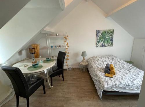 Le cocon jaune - Studio en hyper centre