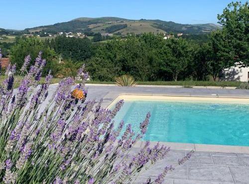 Le cocon Laina Piscine & spa optionnel