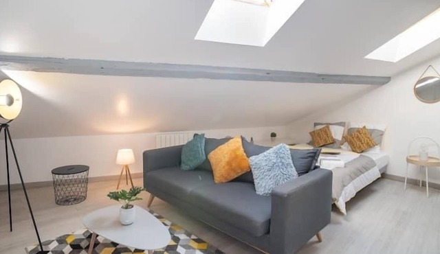 Le Cocon Vermeil - Hypercentre
